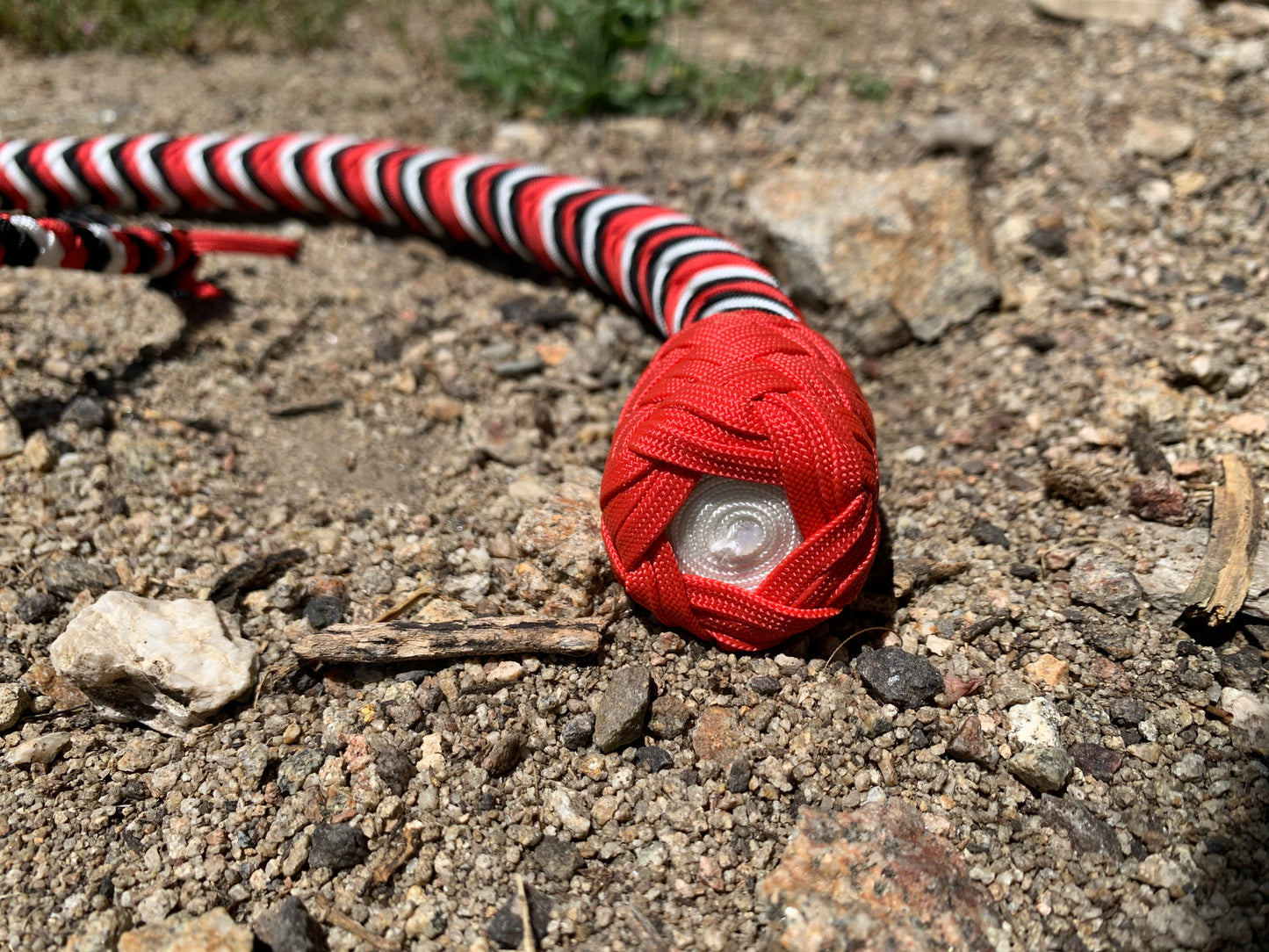 Jester's Mischief
