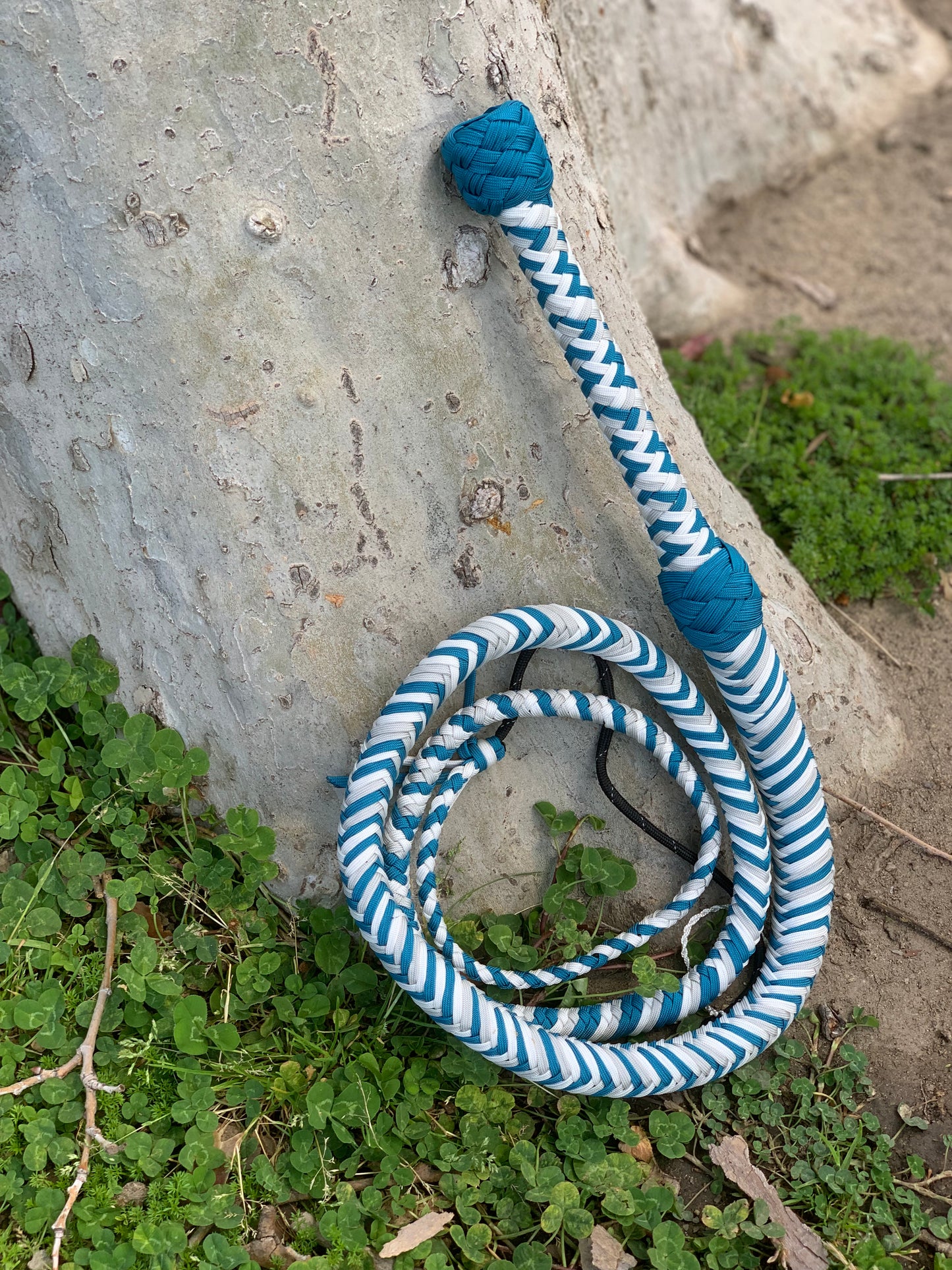 CUSTOM BULLWHIP (please select "View Full Details" to see more specific information)